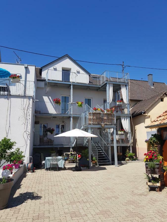Au Gre De L'Ill 'L'Ill' Apartment Horbourg Exterior foto